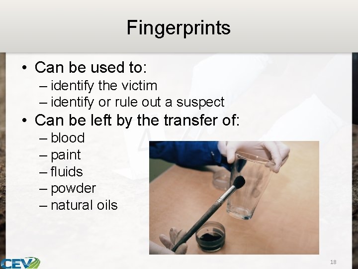 Fingerprints • Can be used to: – identify the victim – identify or rule