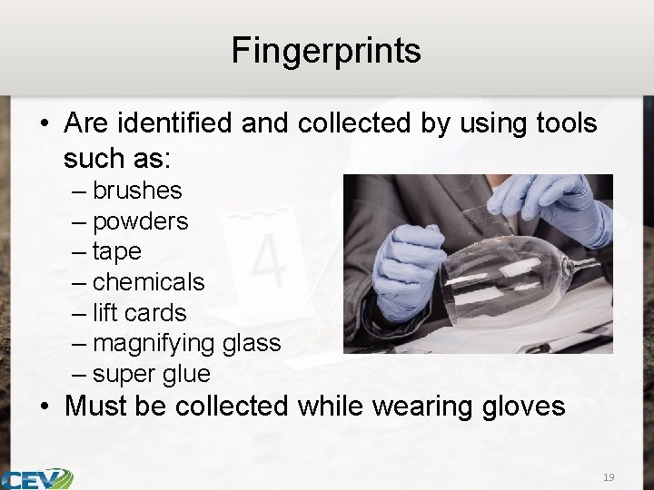 Fingerprints • Are identified and collected by using tools such as: – brushes –