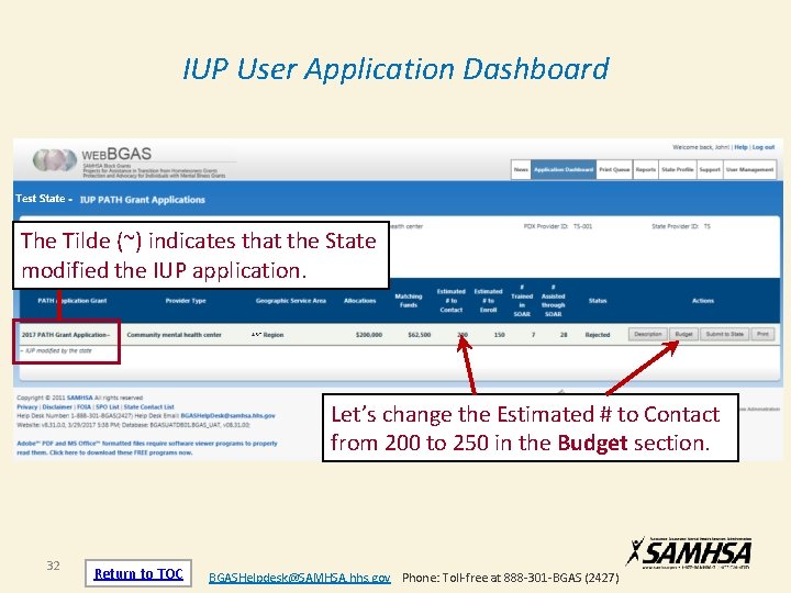 IUP User Application Dashboard The Tilde (~) indicates that the State modified the IUP