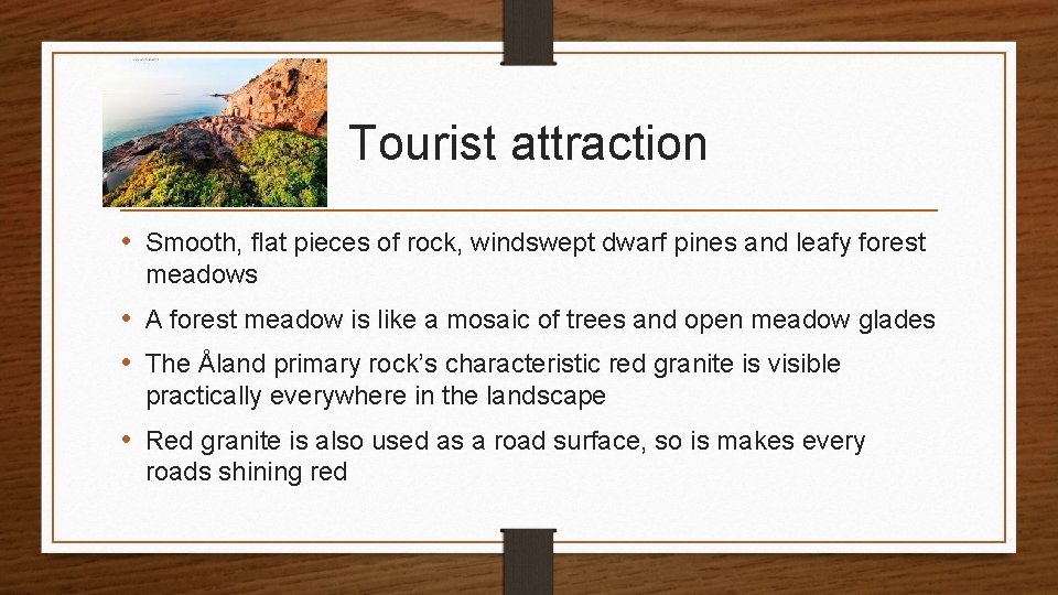 Tourist attraction • Smooth, flat pieces of rock, windswept dwarf pines and leafy forest
