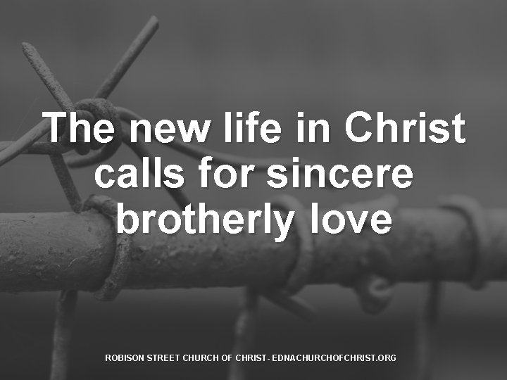 The new life in Christ calls for sincere brotherly love ROBISON STREET CHURCH OF