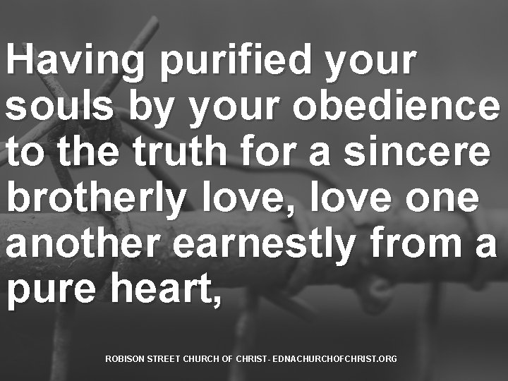 Having purified your souls by your obedience to the truth for a sincere brotherly