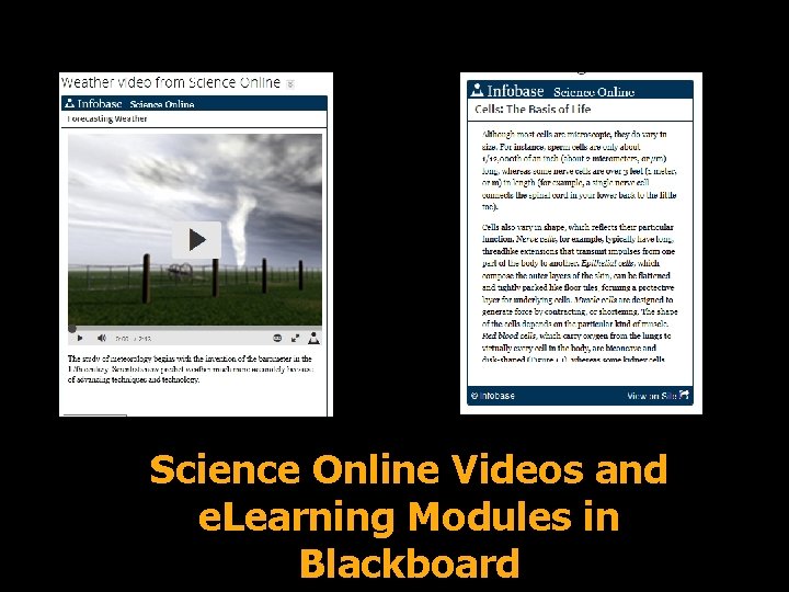 Science Online Videos and e. Learning Modules in Blackboard 
