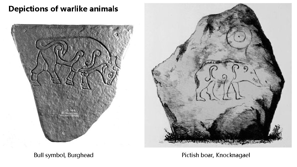 Depictions of warlike animals Bull symbol, Burghead Pictish boar, Knocknagael 