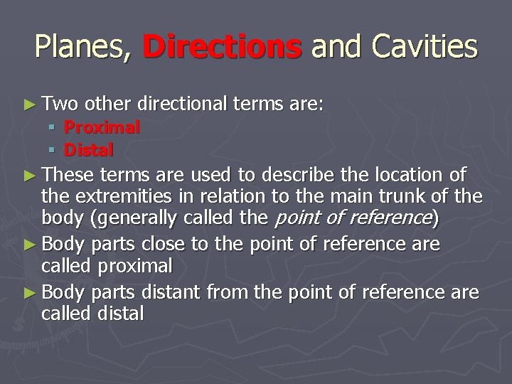 Planes, Directions and Cavities ► Two other directional § Proximal § Distal ► These