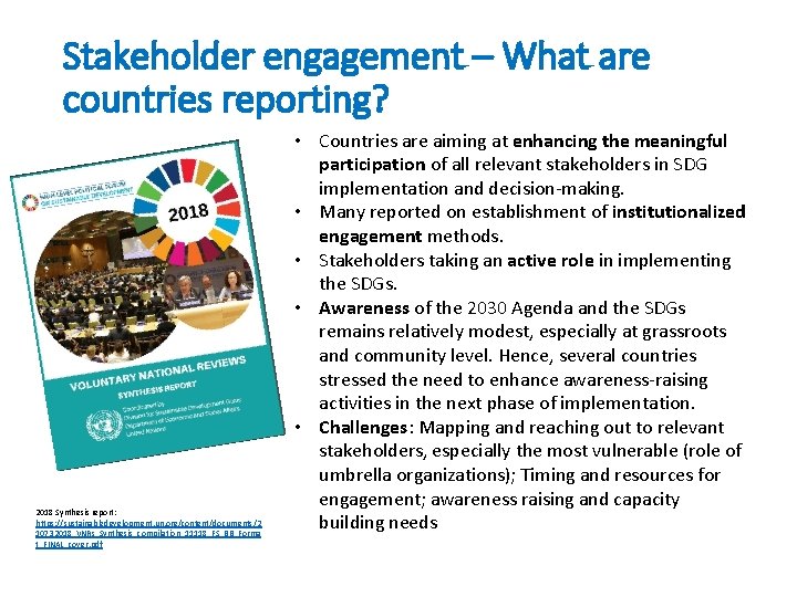 Stakeholder engagement – What are countries reporting? 2018 Synthesis report: https: //sustainabledevelopment. un. org/content/documents/2