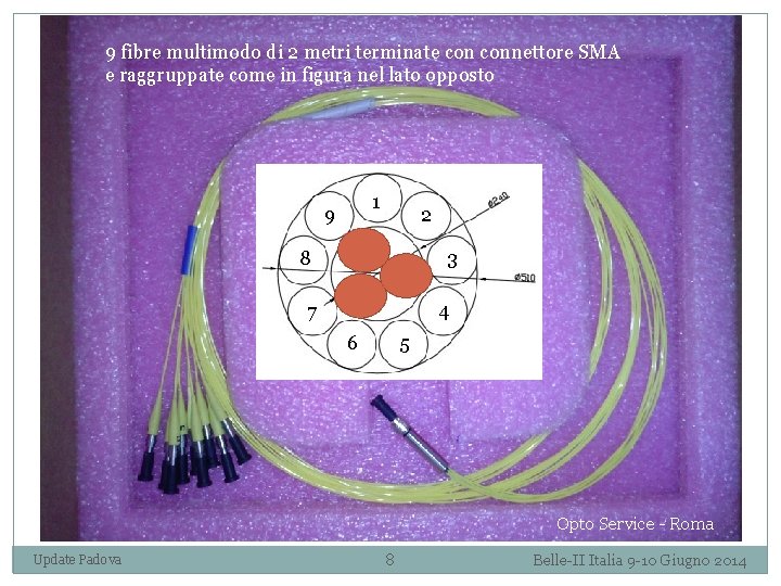 9 fibre multimodo di 2 metri terminate connettore SMA e raggruppate come in figura