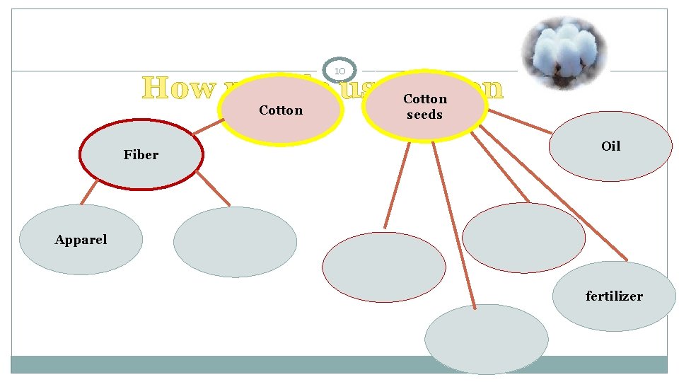 10 How people use cotton Cotton Fiber seeds Oil Apparel fertilizer 