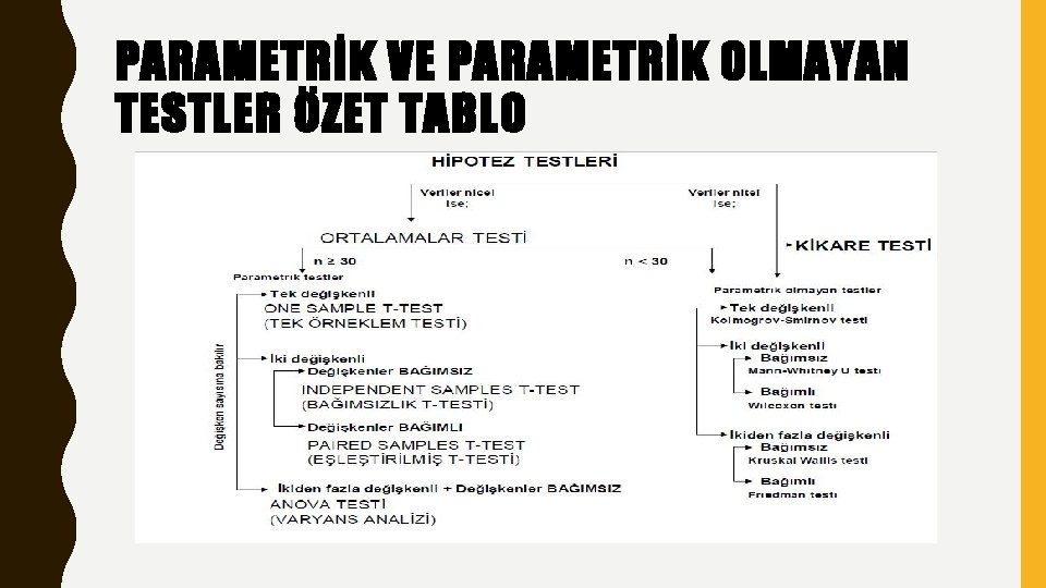 PARAMETRİK VE PARAMETRİK OLMAYAN TESTLER ÖZET TABLO 