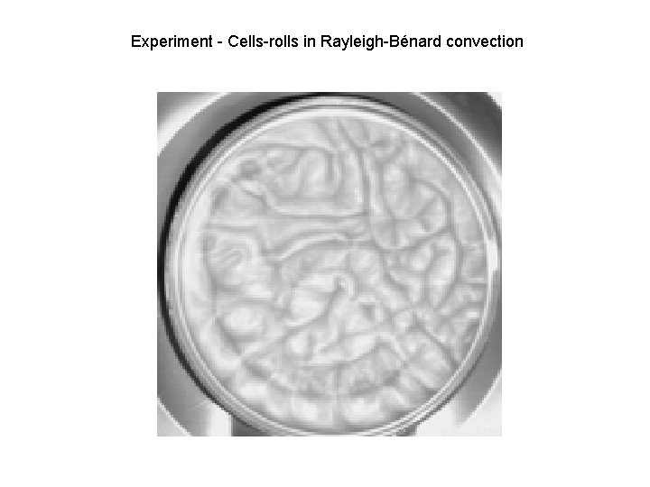 Experiment - Cells-rolls in Rayleigh-Bénard convection 