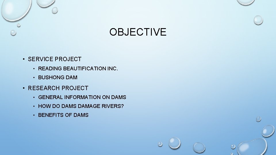 OBJECTIVE • SERVICE PROJECT • READING BEAUTIFICATION INC. • BUSHONG DAM • RESEARCH PROJECT