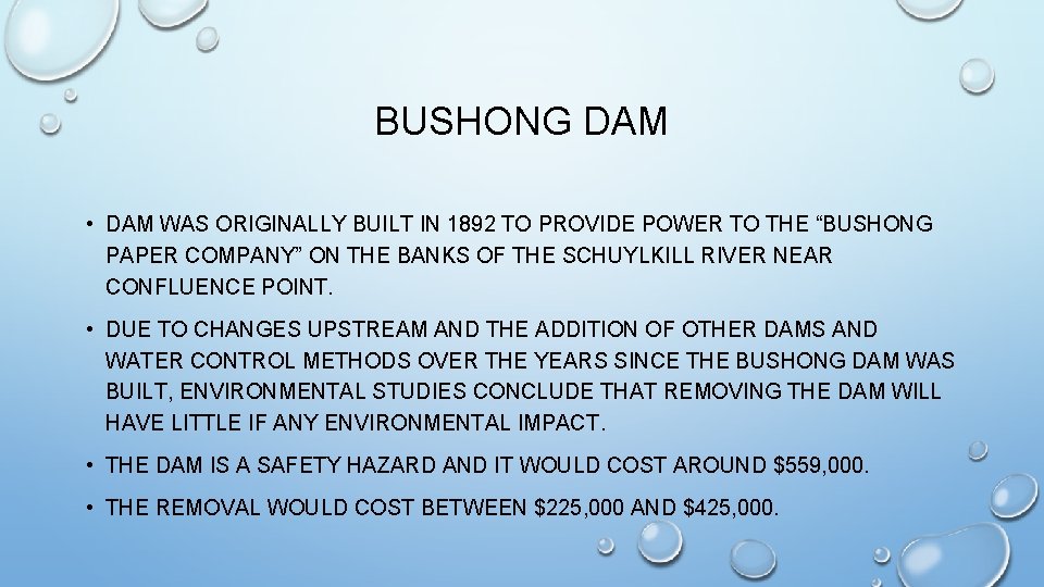 BUSHONG DAM • DAM WAS ORIGINALLY BUILT IN 1892 TO PROVIDE POWER TO THE