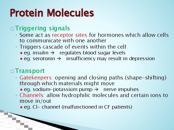 Protein Molecules � Triggering signals ◦ Some act as receptor sites for hormones which
