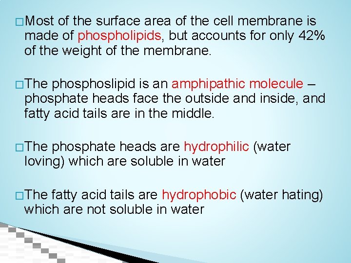 � Most of the surface area of the cell membrane is made of phospholipids,