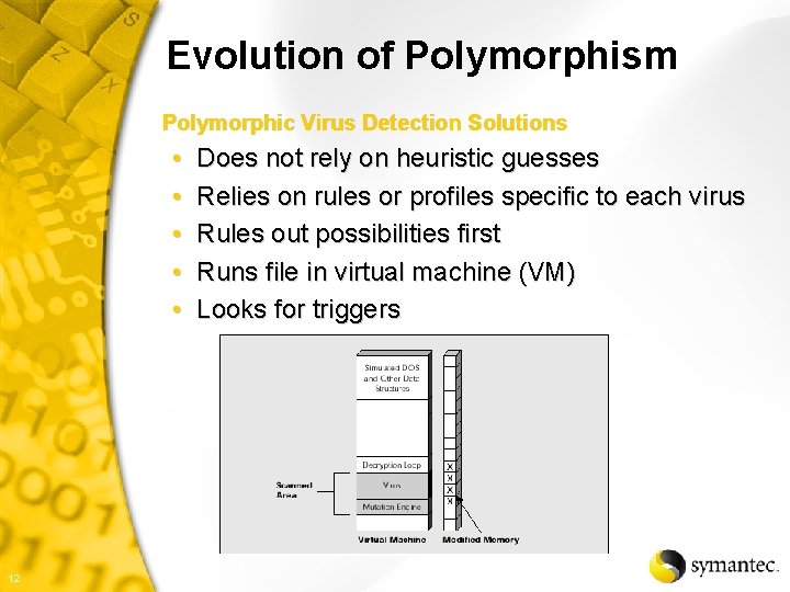 Evolution of Polymorphism Polymorphic Virus Detection Solutions • • • 12 Does not rely