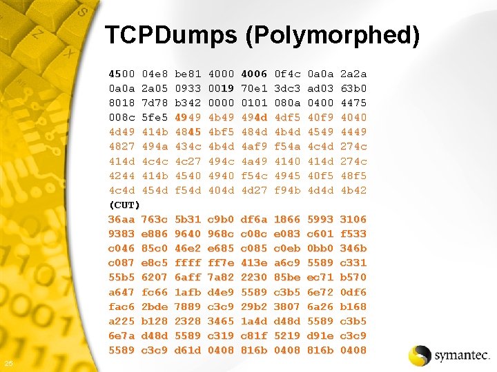 TCPDumps (Polymorphed) 4500 04 e 8 0 a 0 a 2 a 05 8018