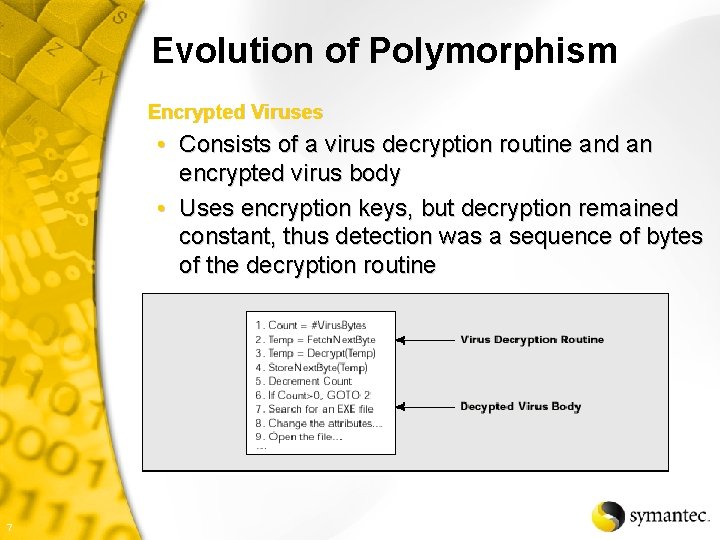 Evolution of Polymorphism Encrypted Viruses • Consists of a virus decryption routine and an