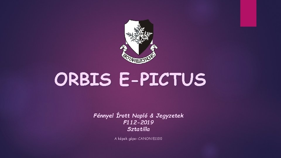 ORBIS E-PICTUS Fénnyel Írott Napló & Jegyzetek F 112 -2019 Sztatilla A képek gépe: