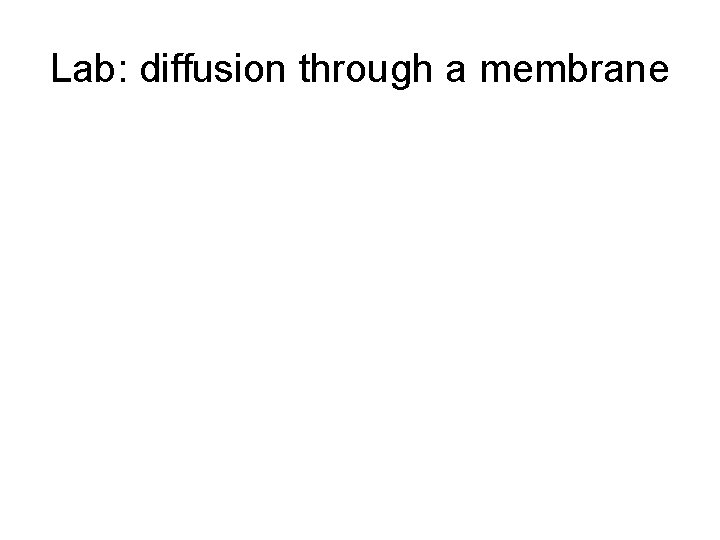 Lab: diffusion through a membrane 