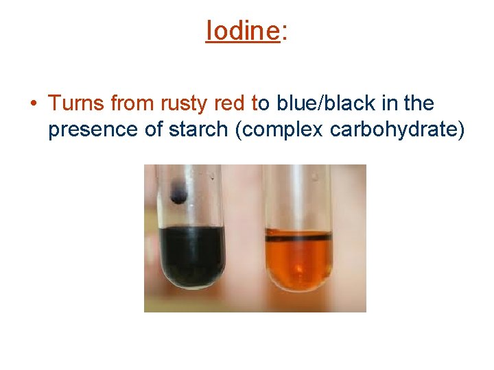 Iodine: • Turns from rusty red to blue/black in the presence of starch (complex