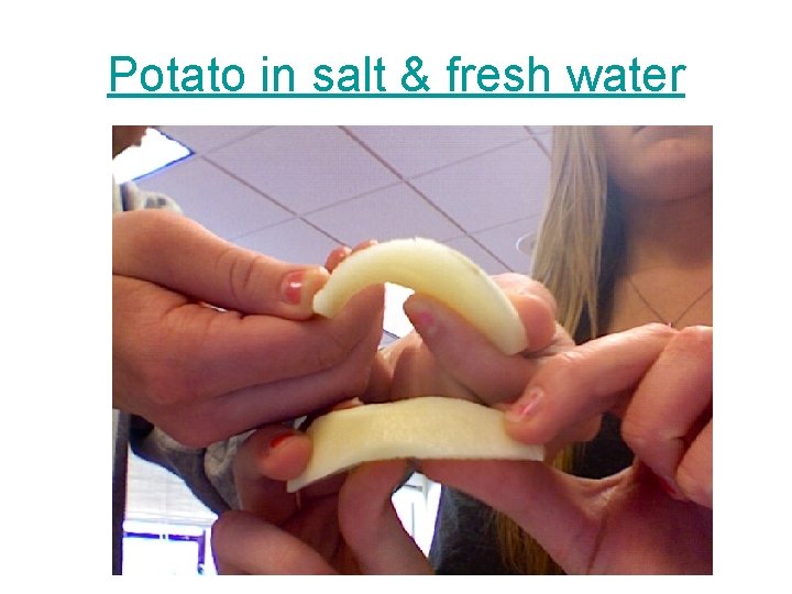 Potato in salt & fresh water 