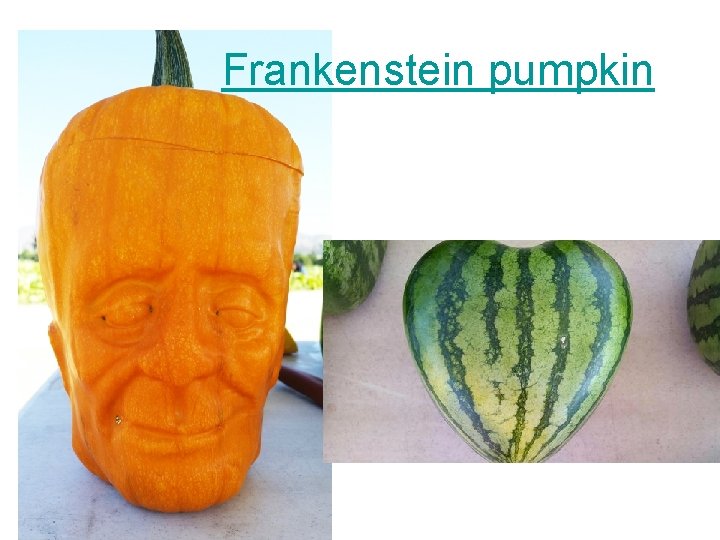 Frankenstein pumpkin 