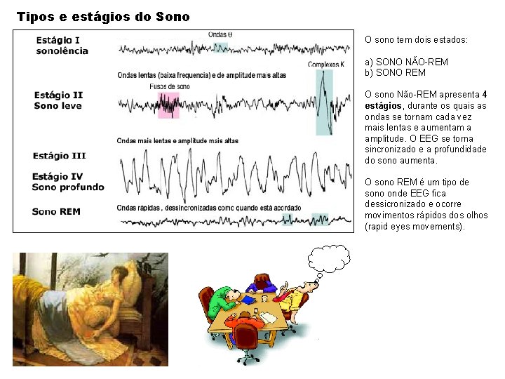 Tipos e estágios do Sono O sono tem dois estados: a) SONO NÃO-REM b)