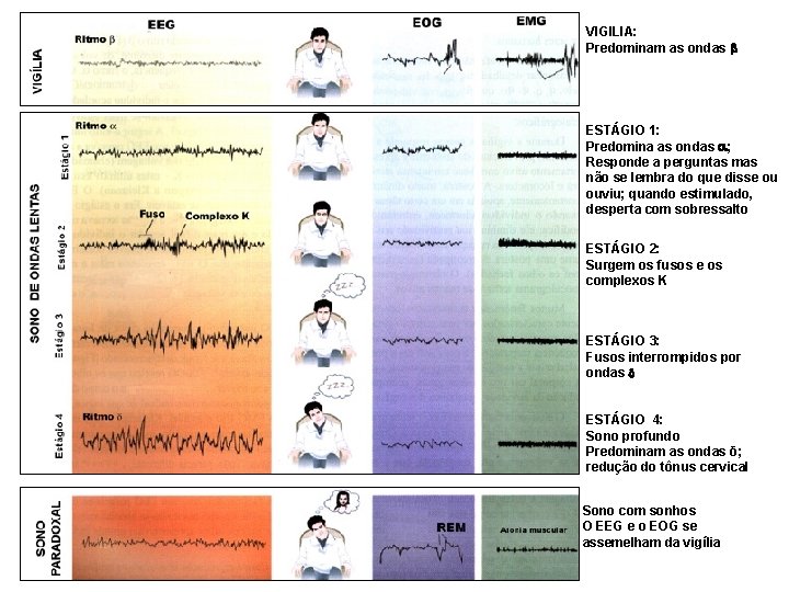 VIGILIA: Predominam as ondas ESTÁGIO 1: Predomina as ondas ; Responde a perguntas mas