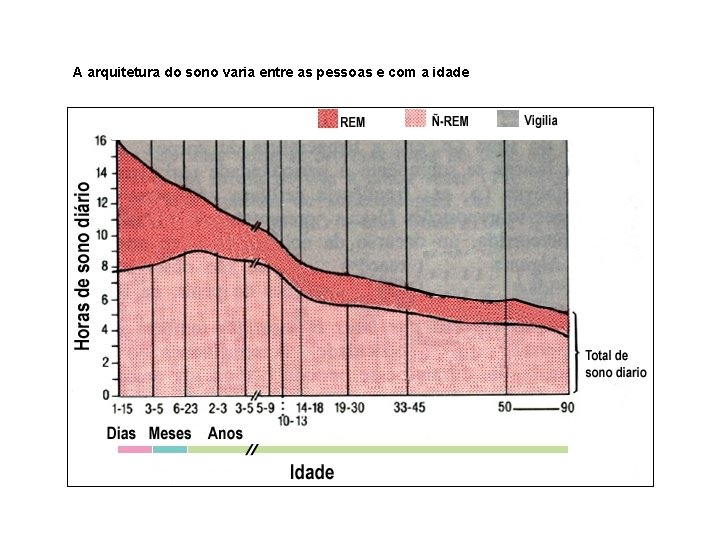 A arquitetura do sono varia entre as pessoas e com a idade 
