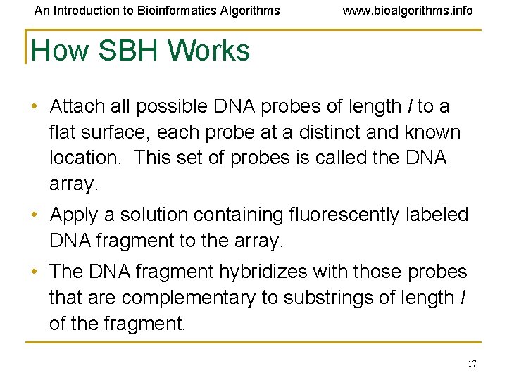 An Introduction to Bioinformatics Algorithms www. bioalgorithms. info How SBH Works • Attach all
