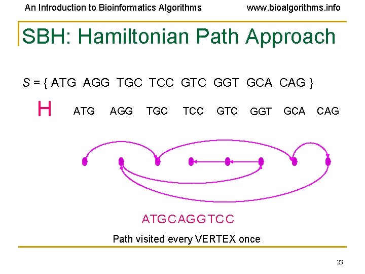 An Introduction to Bioinformatics Algorithms www. bioalgorithms. info SBH: Hamiltonian Path Approach S =