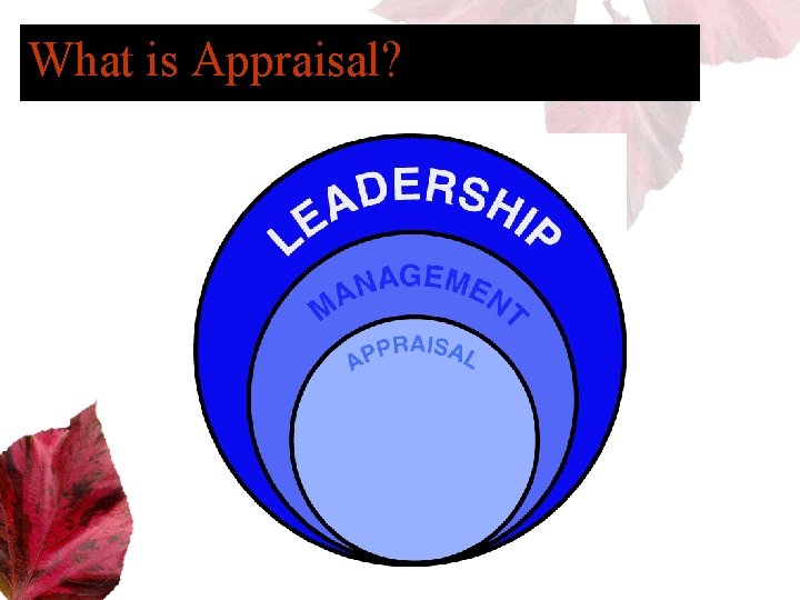 What is Appraisal? 