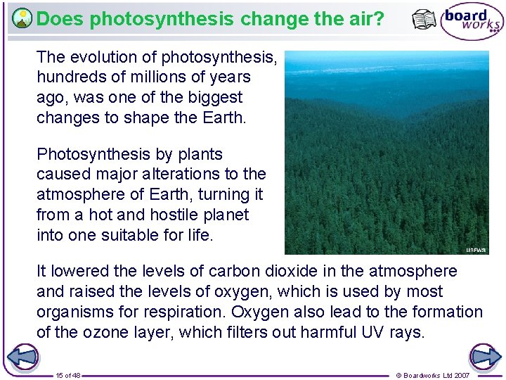 Does photosynthesis change the air? The evolution of photosynthesis, hundreds of millions of years