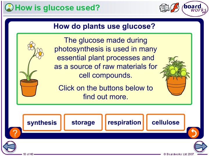 How is glucose used? 18 of 48 © Boardworks Ltd 2007 