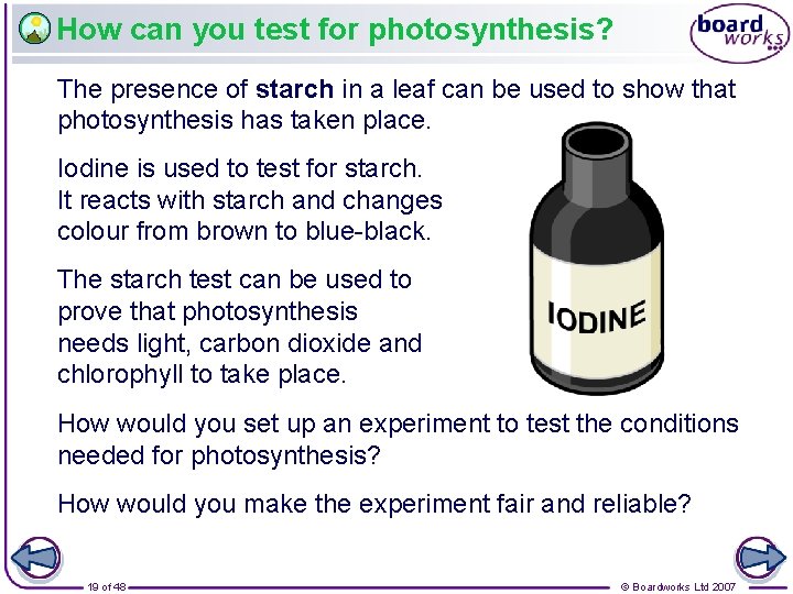 How can you test for photosynthesis? The presence of starch in a leaf can