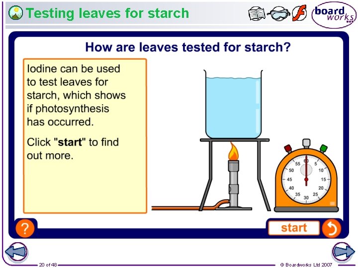 Testing leaves for starch 20 of 48 © Boardworks Ltd 2007 