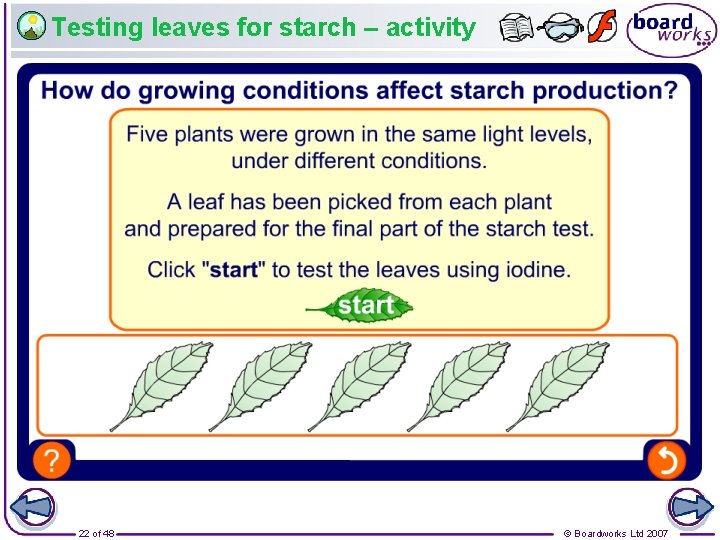 Testing leaves for starch – activity 22 of 48 © Boardworks Ltd 2007 