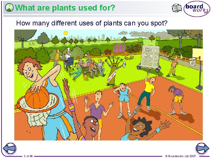 What are plants used for? How many different uses of plants can you spot?