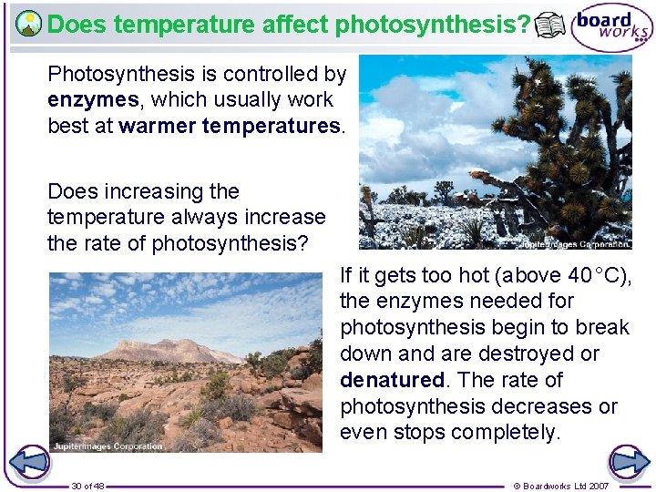 Does temperature affect photosynthesis? Photosynthesis is controlled by enzymes, which usually work best at