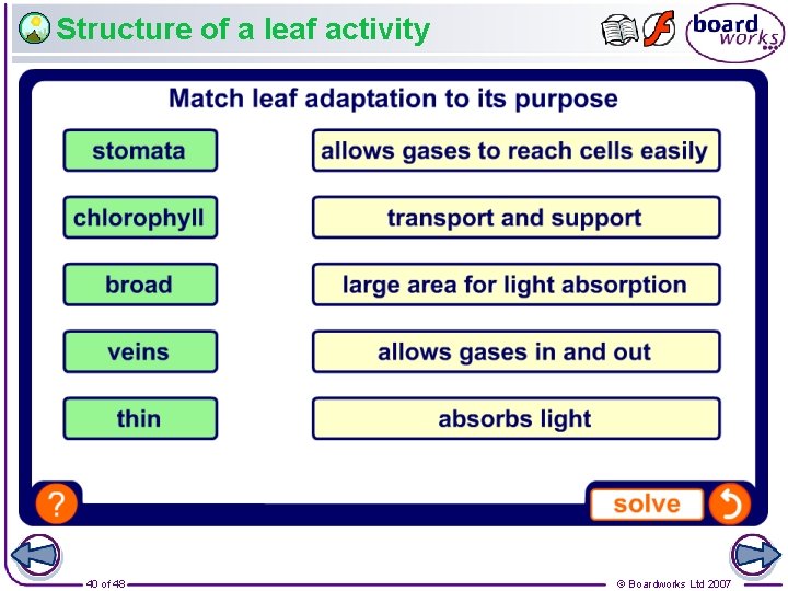 Structure of a leaf activity 40 of 48 © Boardworks Ltd 2007 