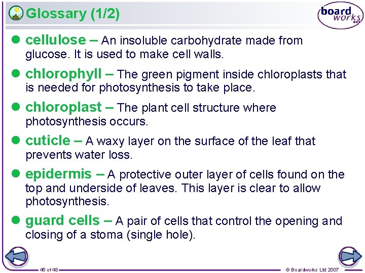 Glossary (1/2) l cellulose – An insoluble carbohydrate made from glucose. It is used