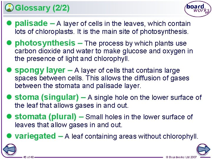 Glossary (2/2) l palisade – A layer of cells in the leaves, which contain