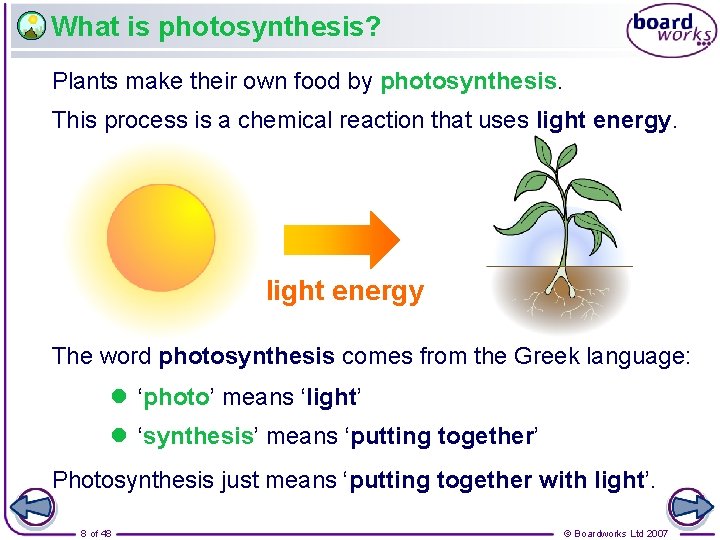 What is photosynthesis? Plants make their own food by photosynthesis. This process is a