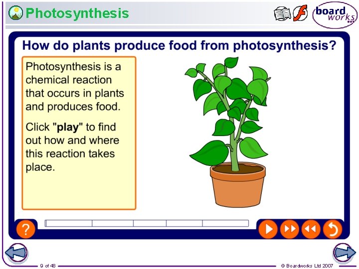 Photosynthesis 9 of 48 © Boardworks Ltd 2007 