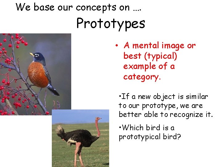 We base our concepts on …. Prototypes • A mental image or best (typical)