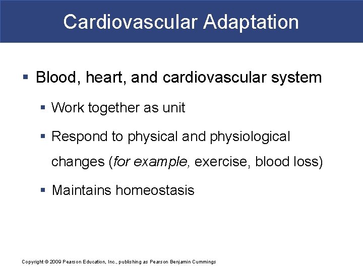 Cardiovascular Adaptation § Blood, heart, and cardiovascular system § Work together as unit §