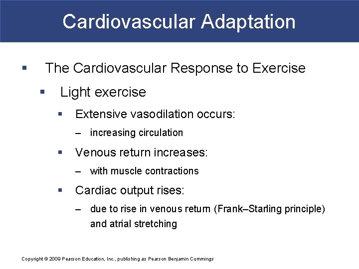 Cardiovascular Adaptation § The Cardiovascular Response to Exercise § Light exercise § Extensive vasodilation