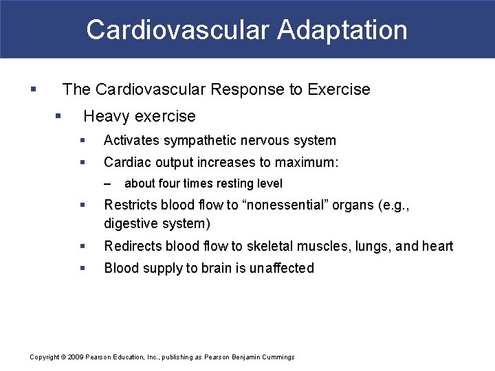 Cardiovascular Adaptation § The Cardiovascular Response to Exercise § Heavy exercise § Activates sympathetic