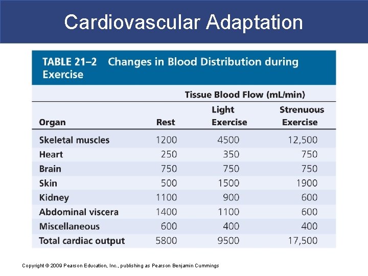 Cardiovascular Adaptation Copyright © 2009 Pearson Education, Inc. , publishing as Pearson Benjamin Cummings