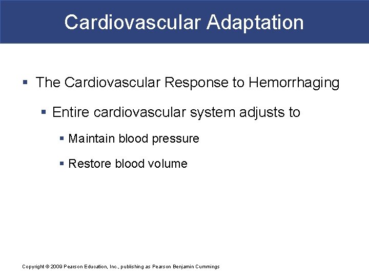 Cardiovascular Adaptation § The Cardiovascular Response to Hemorrhaging § Entire cardiovascular system adjusts to